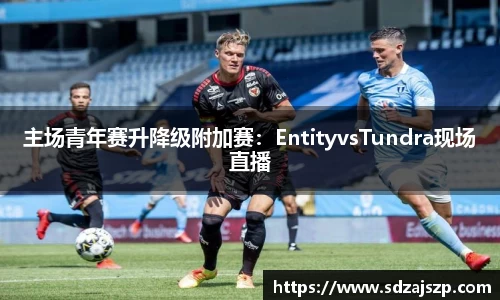 主场青年赛升降级附加赛：EntityvsTundra现场直播