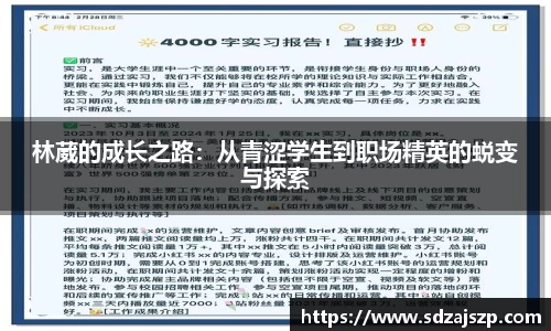 BOB半岛体育官方网站