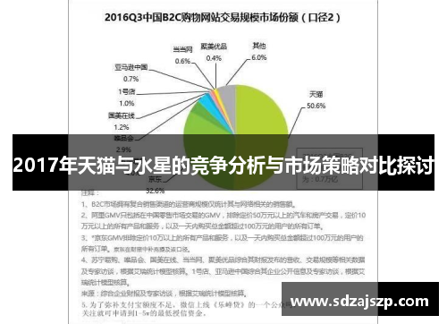2017年天猫与水星的竞争分析与市场策略对比探讨