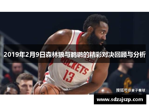 2019年2月9日森林狼与鹈鹕的精彩对决回顾与分析